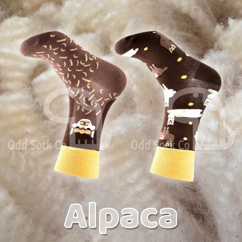 Alpaca Socks
