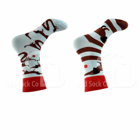 Dachshund About Themed Socks Odd Sock Co Right View