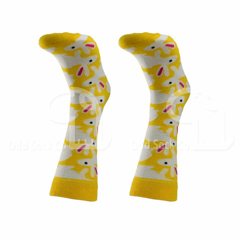 Hunny Bunny Socks