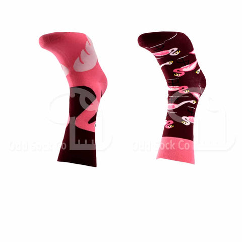 Large Flamingo Themed Socks Odd Sock Co Front View