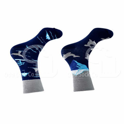 Whale Of A Time Themed Socks Odd Sock Co Right View