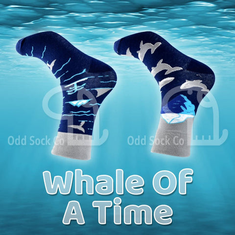 Whale Of A Time Socks
