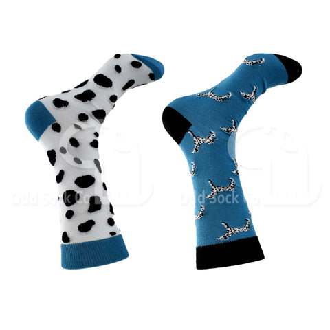 Dalmation Dogs And Spots Themed Socks Odd Sock Co Right View