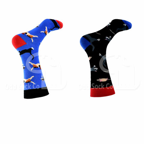 Dogs Cats Mice Themed Socks Odd Sock Co Right View