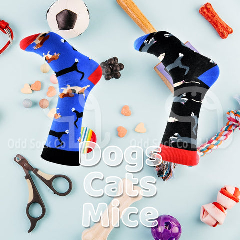Dogs Cats Mice Themed Socks Odd Sock Co Social View