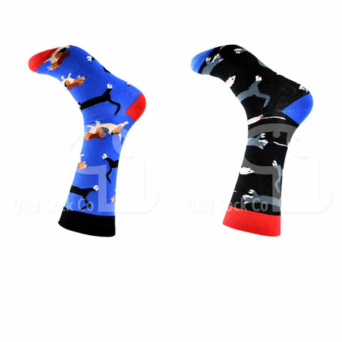 Dogs Cats Mice Themed Socks Odd Sock Co