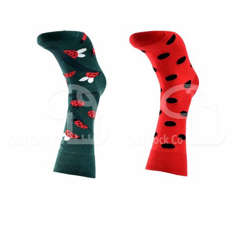 Ladybird Ladybug Themed Socks Odd Sock Co Front View