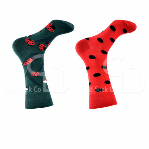 Ladybird Ladybug Themed Socks Odd Sock Co Right View