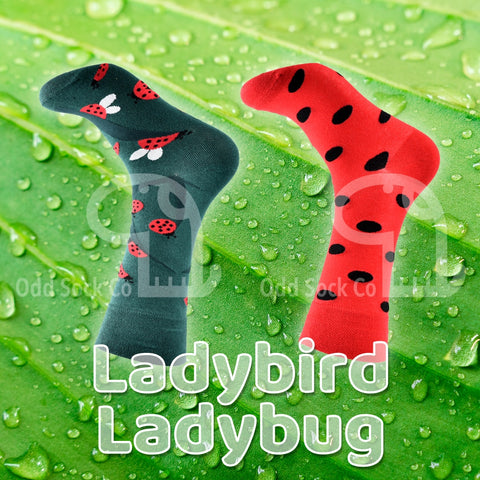 Ladybird Ladybug Themed Socks Odd Sock Co Social View