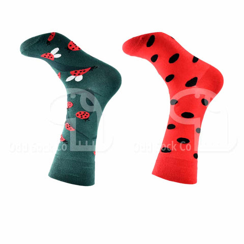 Ladybird Ladybug Themed Socks Odd Sock Co