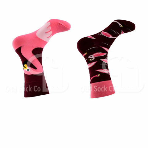 Large Flamingo Themed Socks Odd Sock Co Right View