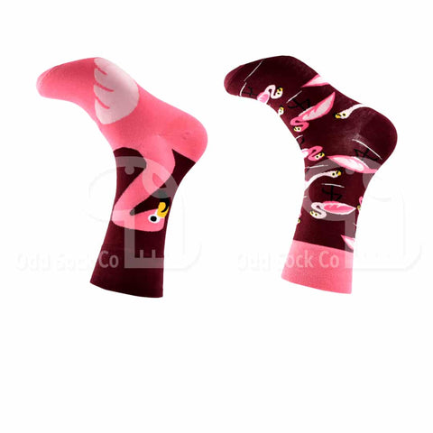 Large Flamingo Themed Socks Odd Sock Co