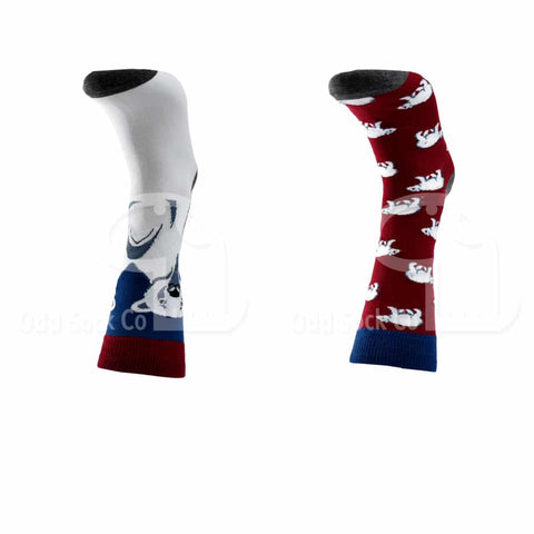 Polar Bear Themed Socks Odd Sock Co Front View
