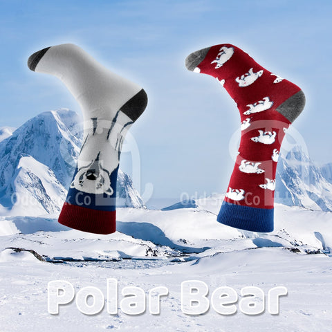 Polar Bear Themed Socks Odd Sock Co Social View