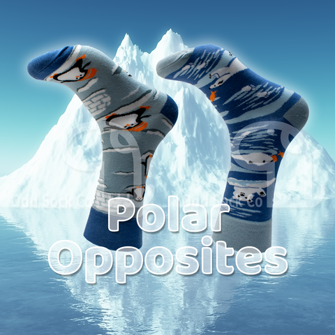 Polar Opposites Socks