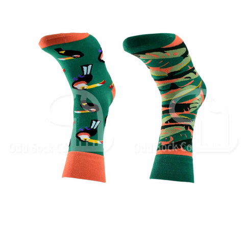 Toucan Themed Socks Front View Odd Sock Co