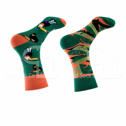 Toucan Themed Socks Right View Odd Sock Co