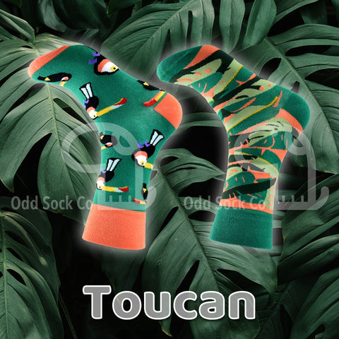 Toucan Socks